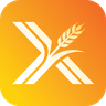 CommX 大宗探索